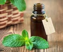 Aceite de menta