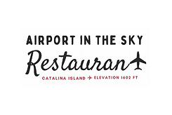 airport in the sky.png