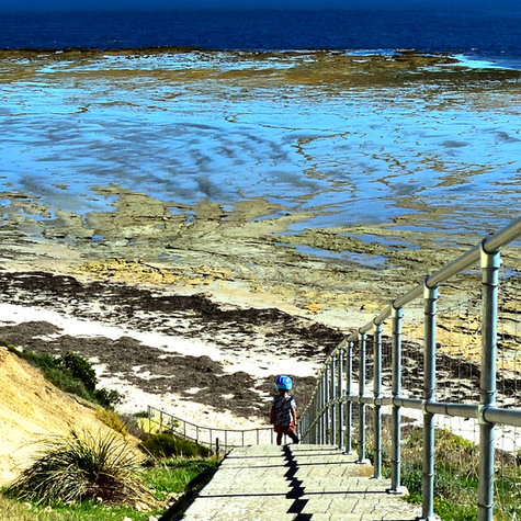 Aldinga reef sanctuary