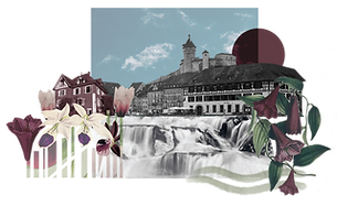 Collag final Trasparent kleiner.png