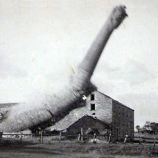 Whites Mill demolition