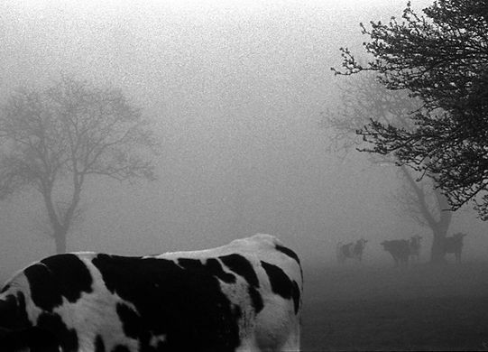 ©Eve Morcrette ref.3334-14a.jpg