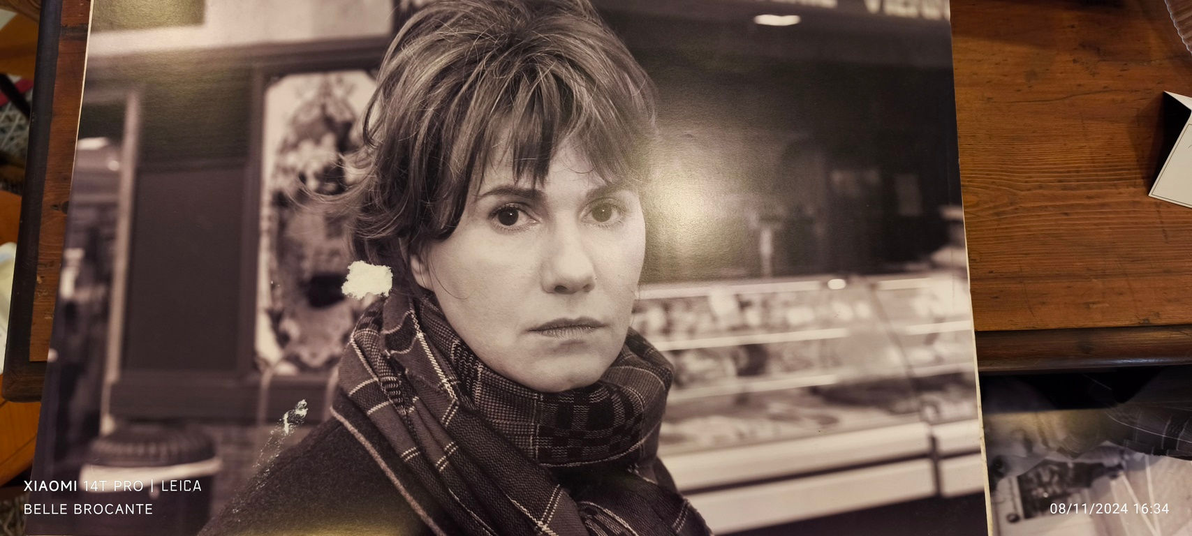 grande photo miou miou taille 50 x 35 cm