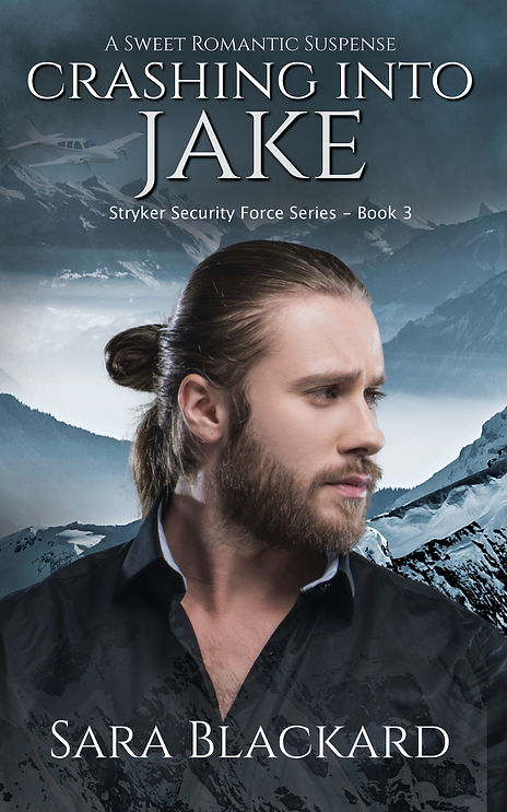 crashing_into_jake_compressed.jpeg