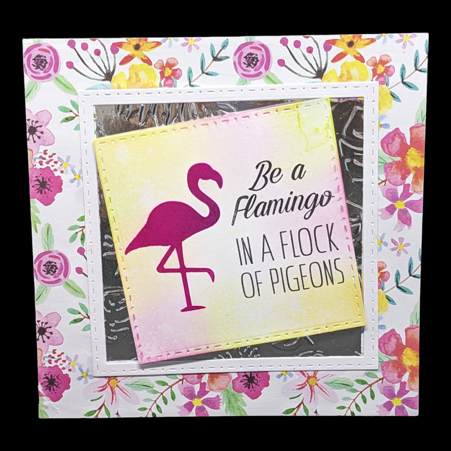 Flamingos & Pigeons