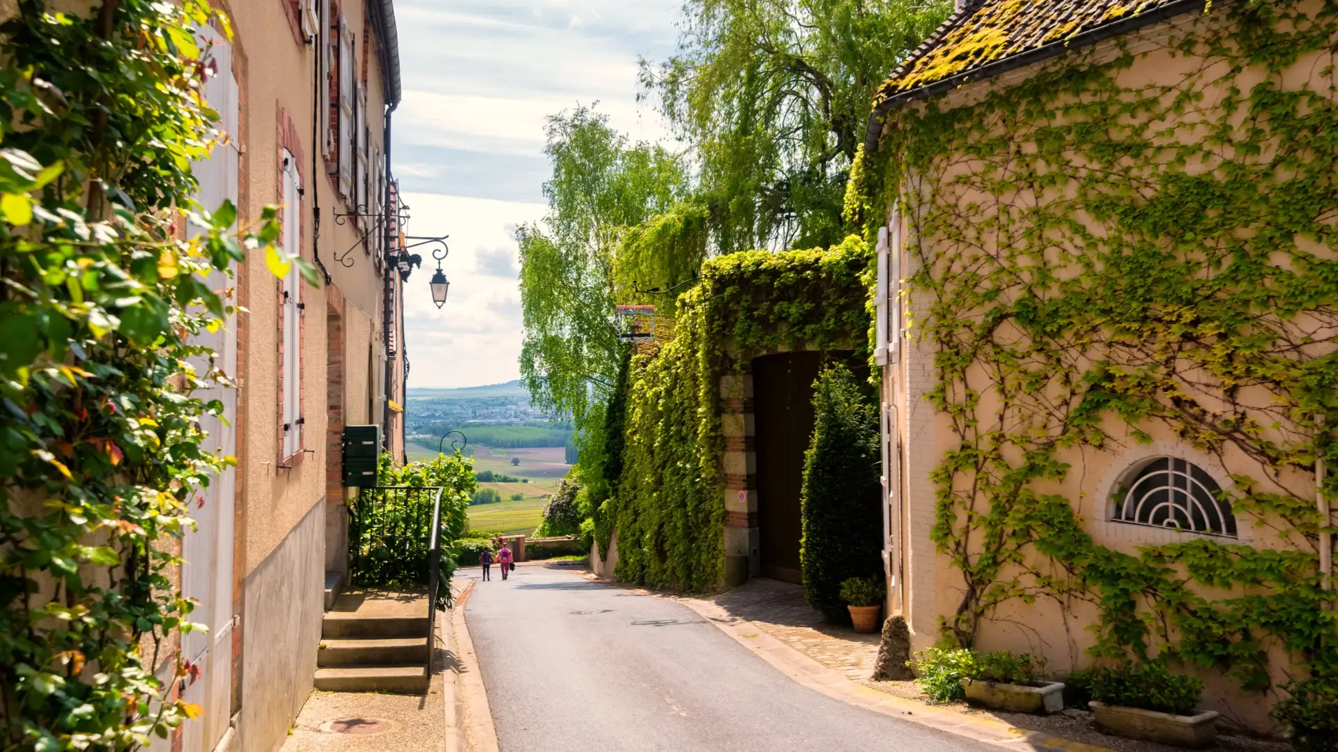 ruelle.webp