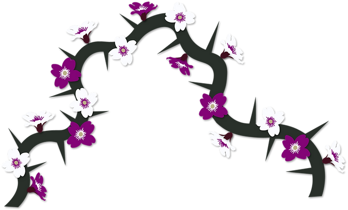 PH05_Branch4_U_Draft1_V1.png