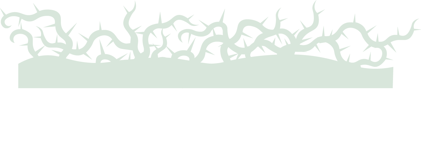 MattWebsite_PH09_V1_Vine_SiteDivider_LGR
