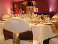 Brown Band with Satin Sash