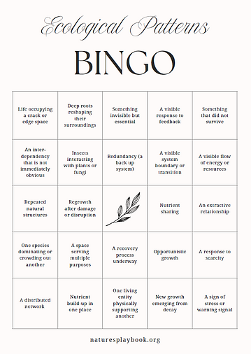 Ecological Patterns Bingo