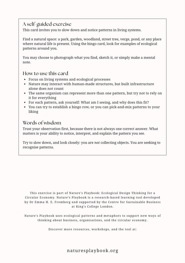 Back side of Ecological Patterns Bingo card with instructions