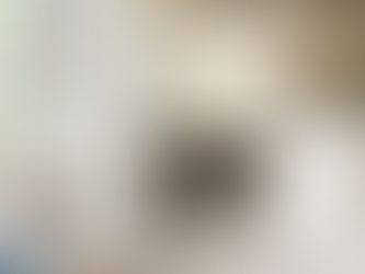 Remodeling for Function: Storage, Flow & Smart Layouts