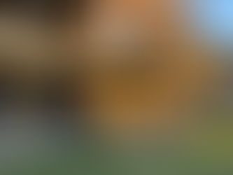 Backyard Transformations: Real Deck Ideas Inspired by Local Homes