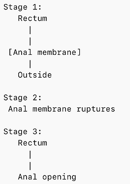Screenshot 2026-03-26 at 1.08.07 PM.png