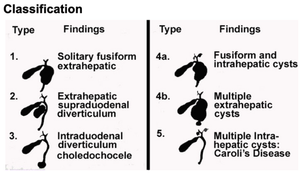 Screenshot 2026-04-07 at 7.56.41 AM.png