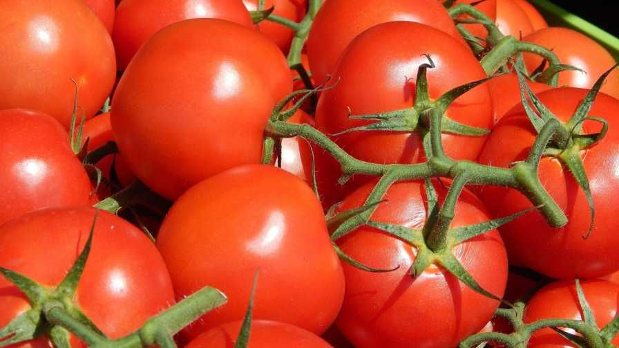 Foods You Should Never Eat on an Empty Stomach