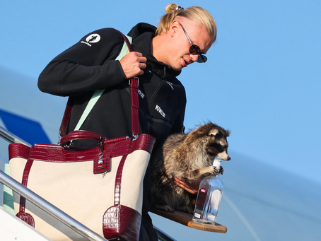 Erling Haaland Goes Viral After Returning Home With a Bizarre World Cup Souvenir