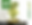 popup forest PP1.png