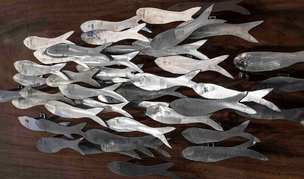 Thumbnail: Escuela de peces / Fish School