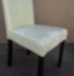 Upholstery Repair