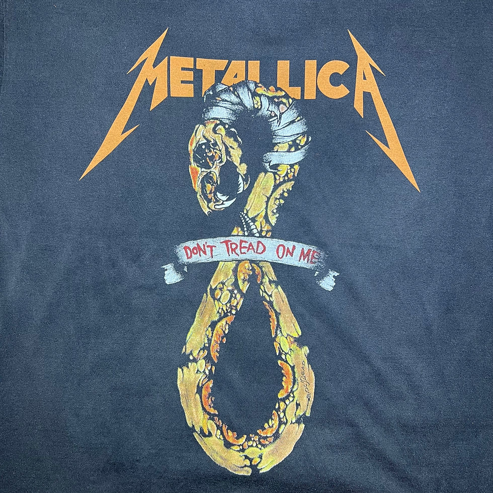 Thumbnail: Metallica ( Touch me again for the world )