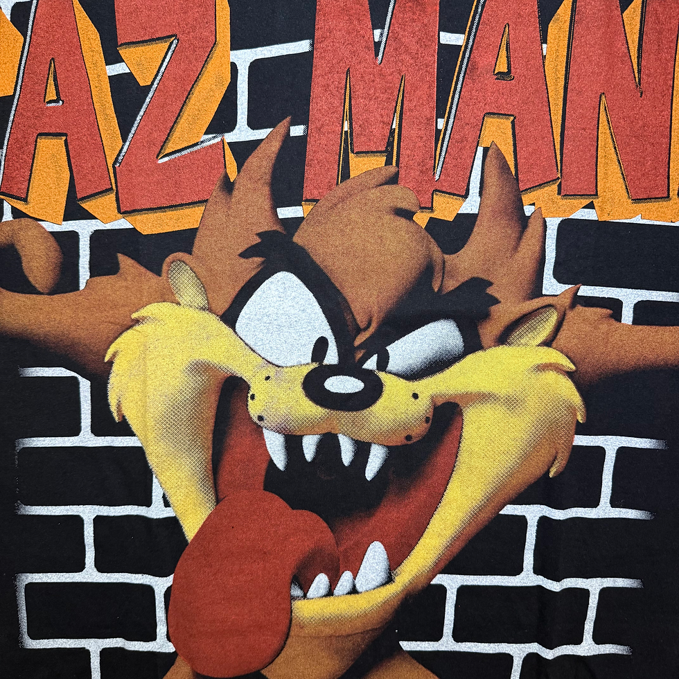 Thumbnail: Taz Mania ( Mania )