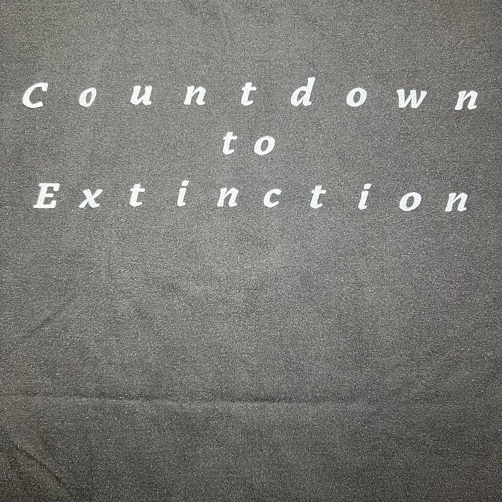 Thumbnail: Megadeth ( Countdown To Extinction )