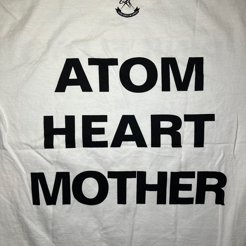 Thumbnail: Pink Floyd ( Atom Heart Mother )