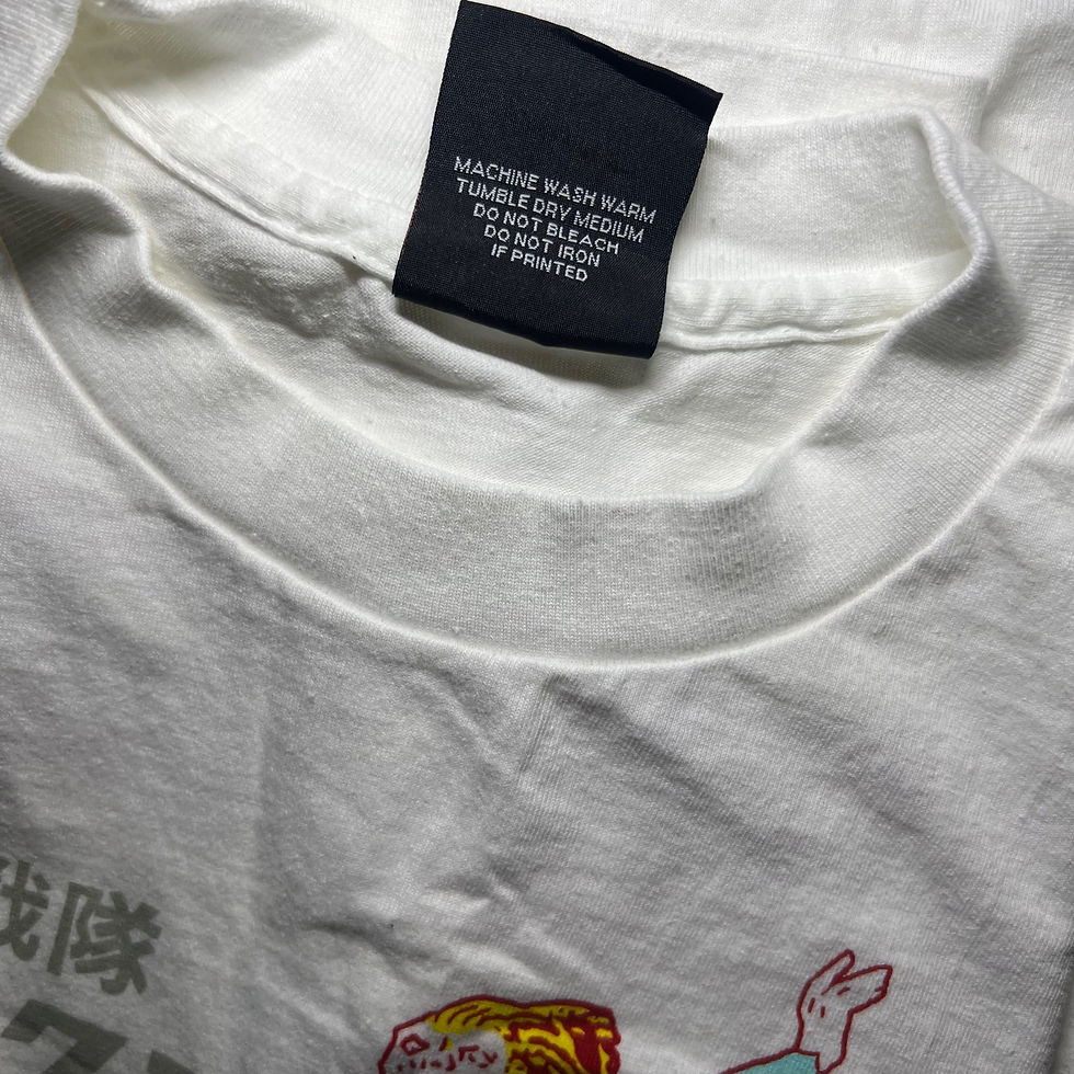Thumbnail: SONIC YOUTH Hysteric Astronaut Tour ( JP )
