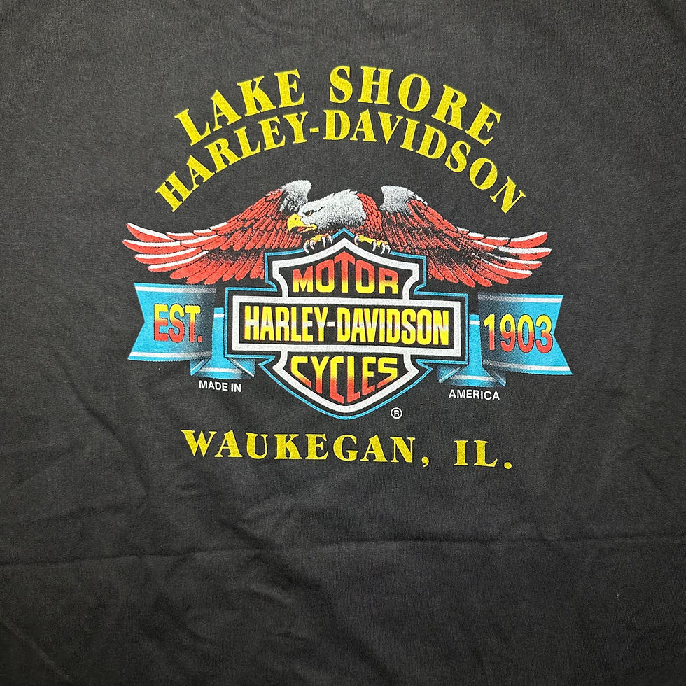 Thumbnail: Harley - Davidson ( LAKE SHORE )