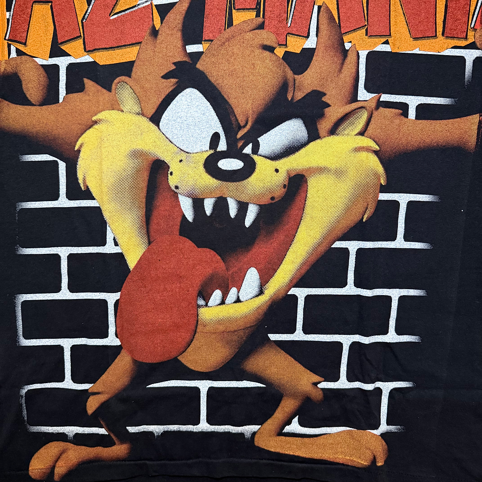 Thumbnail: Taz Mania ( Mania )