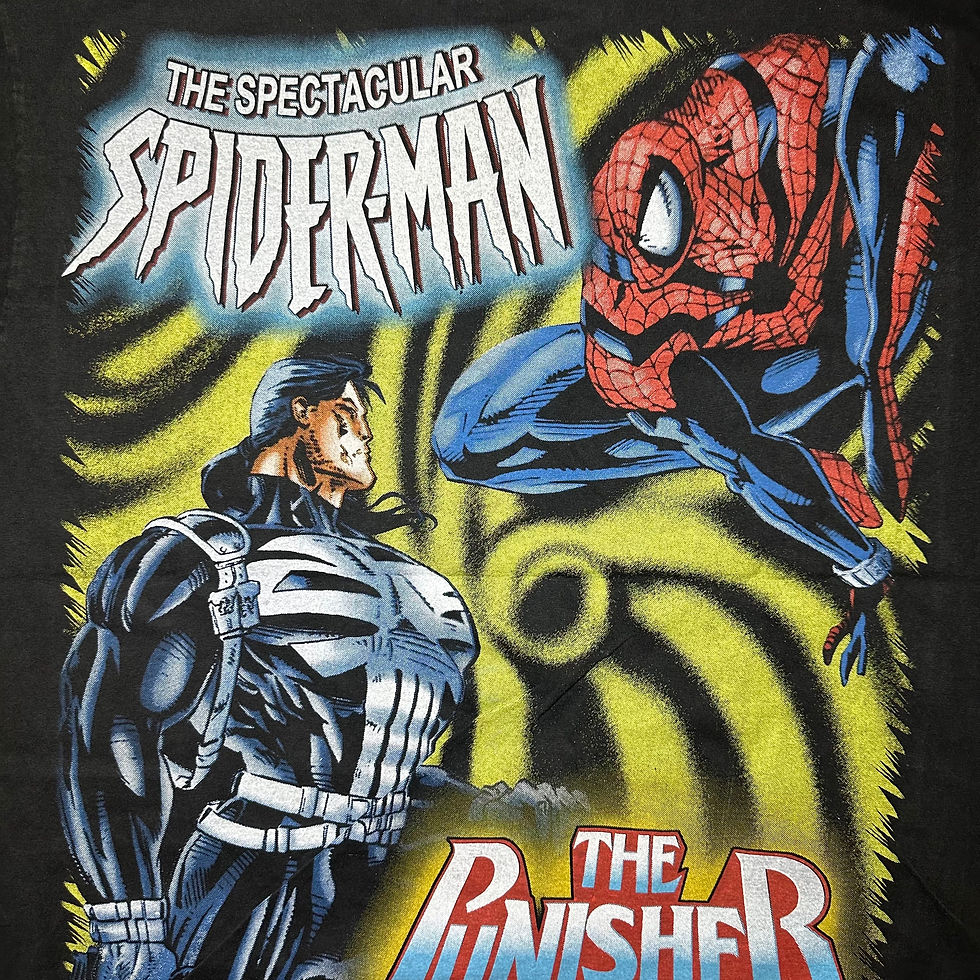 Thumbnail: THE SPECTACULAR SPIDER-MAN & THE PUNISHER 