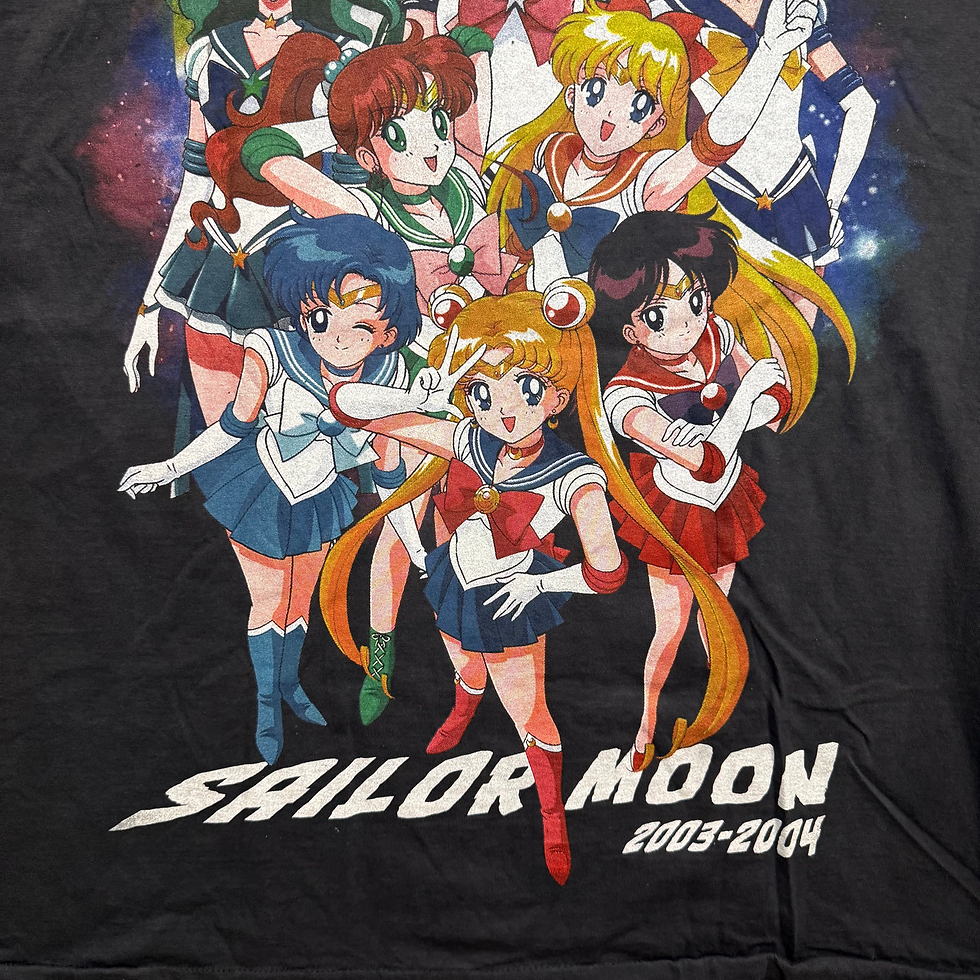 Thumbnail: Sailor Moon ( 2003-2004 )