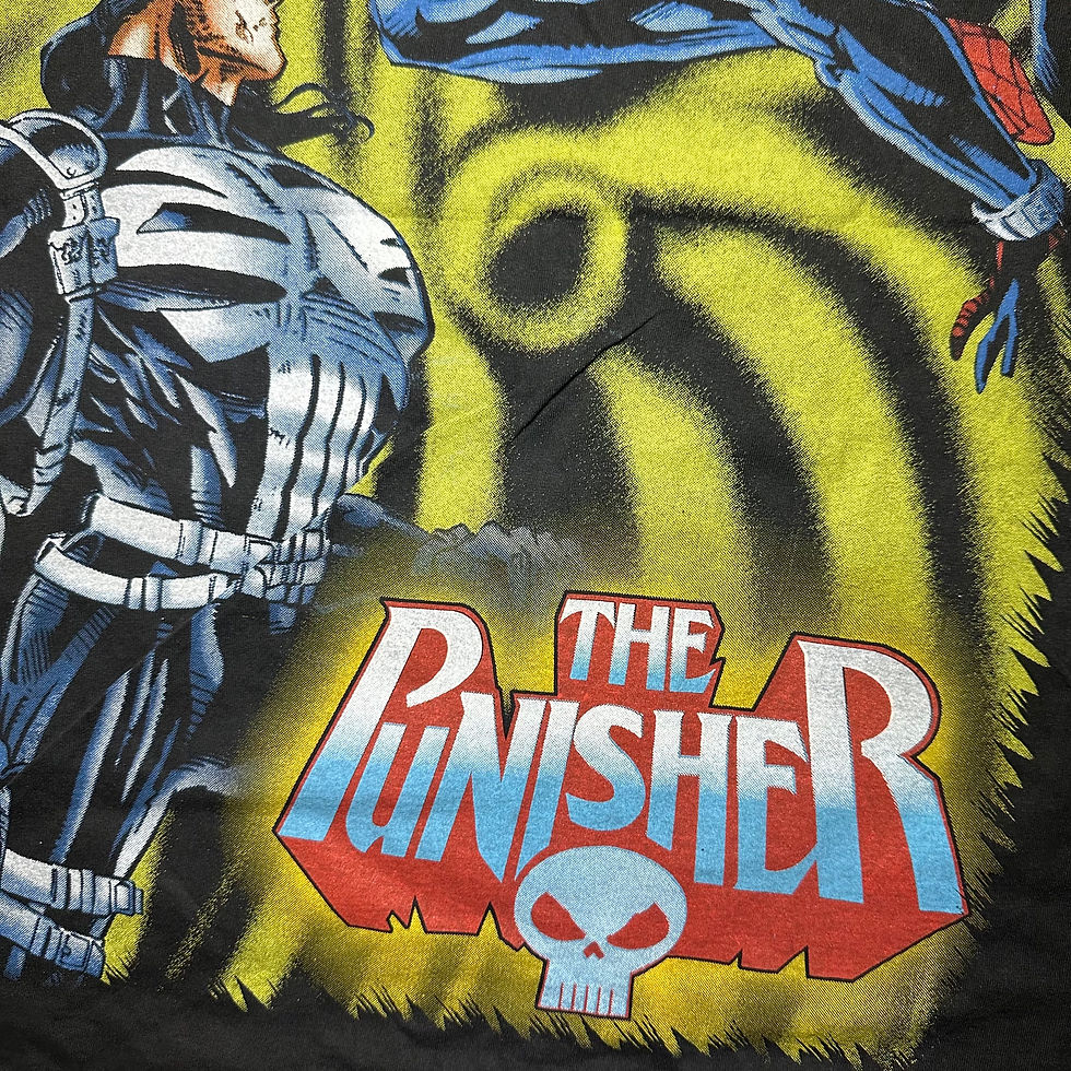 Thumbnail: THE SPECTACULAR SPIDER-MAN & THE PUNISHER 