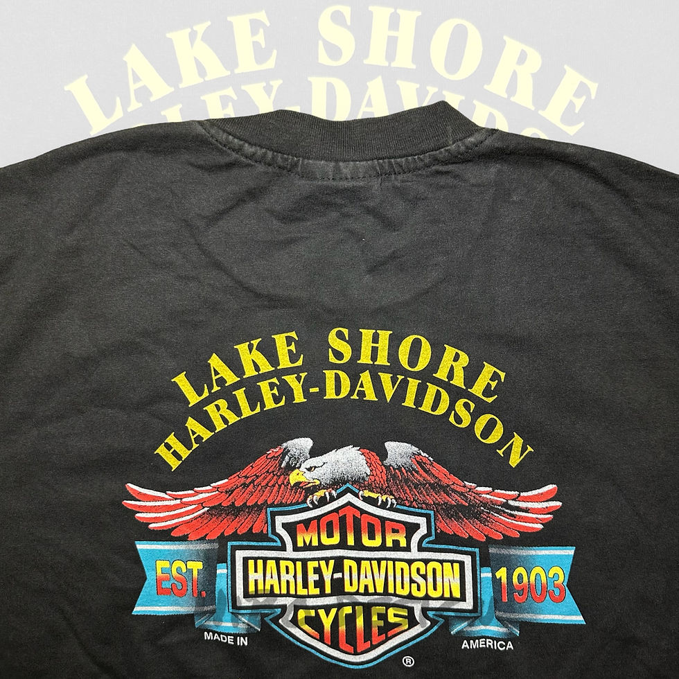 Thumbnail: Harley - Davidson ( LAKE SHORE )