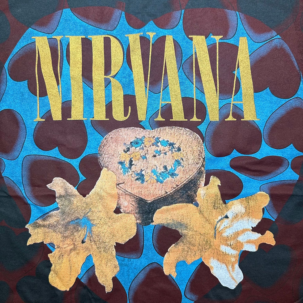 Thumbnail: NIRVANA ( Heart Shaped Box )