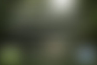 Neues Angebot: Kanukurse