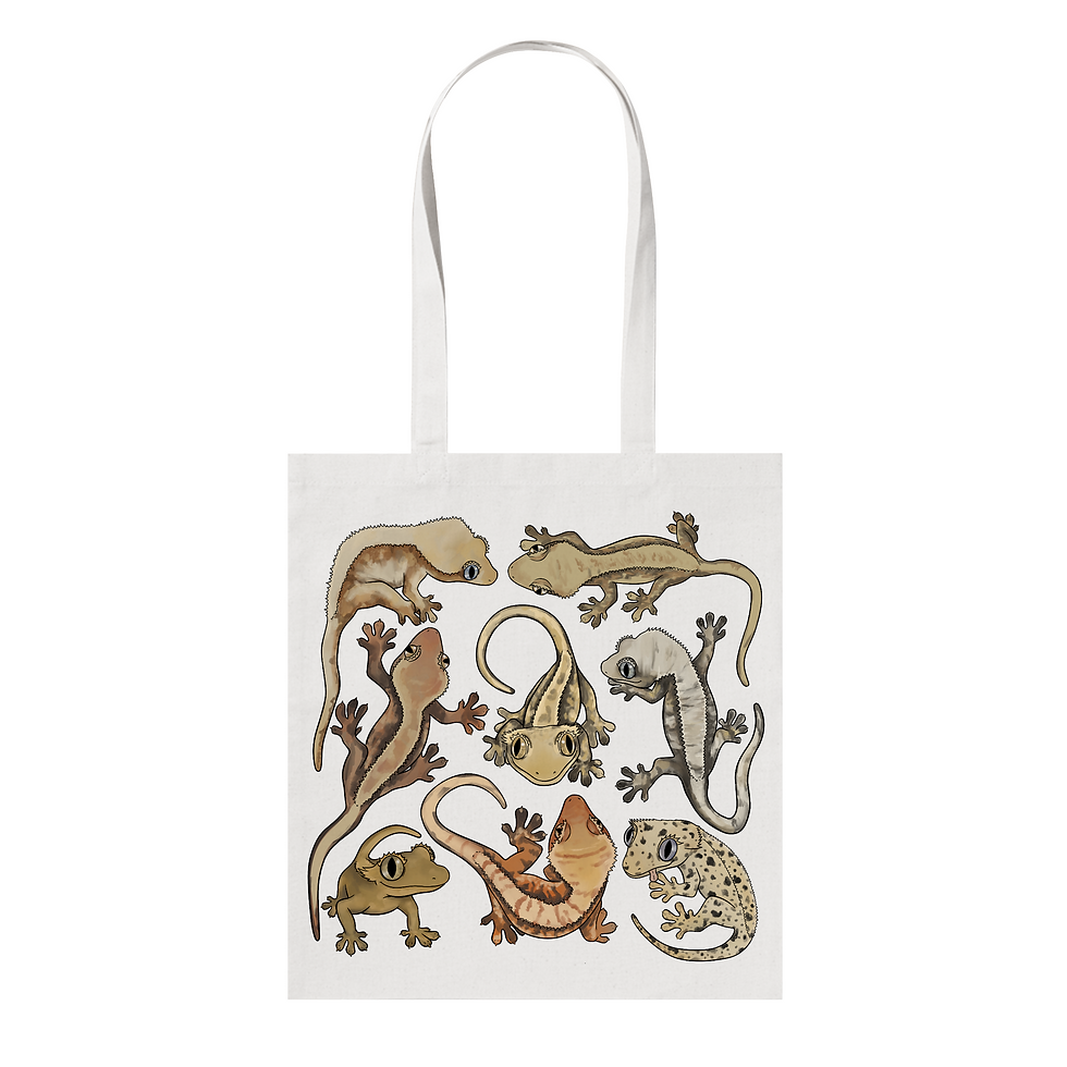 Miniatura: Bolsa de Geckos Crestados
