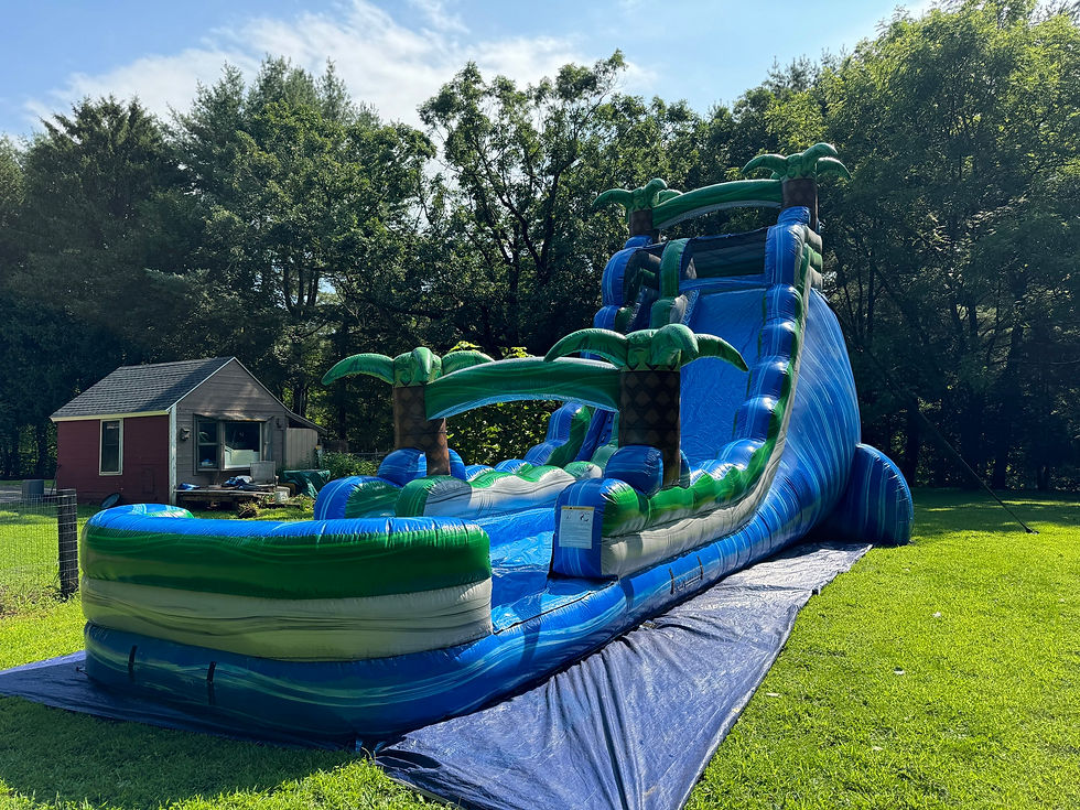 Thumbnail: 22' Palm Tree Waterslide