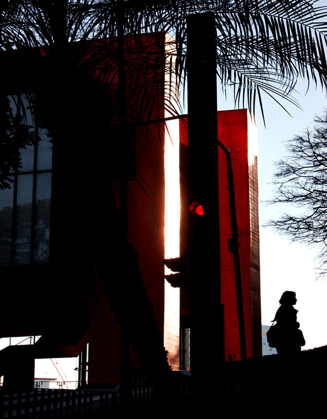 Masp Outono