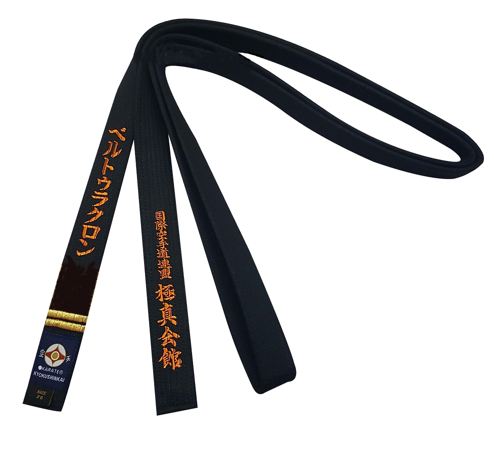 belt_kyokushin_nidan.png