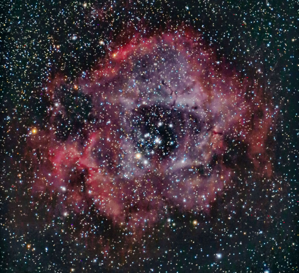 NGC2237_12x25sec_Veloce20_AlessandroDimai