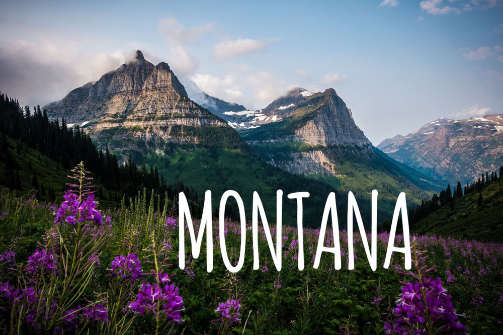 Montana Facts and Trivia