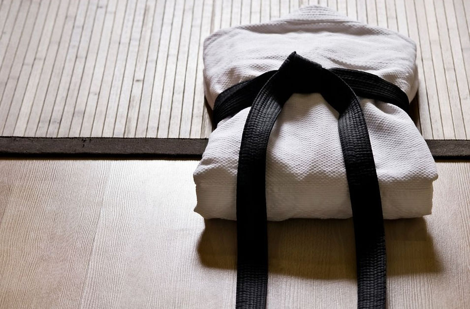 Formation Aikido Verbal au Pole de Therapeutes