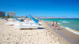 Séminaire Intensif Acupuncture et Auriculothérapie et Formation PBM Acupuncture à la Méditerranée