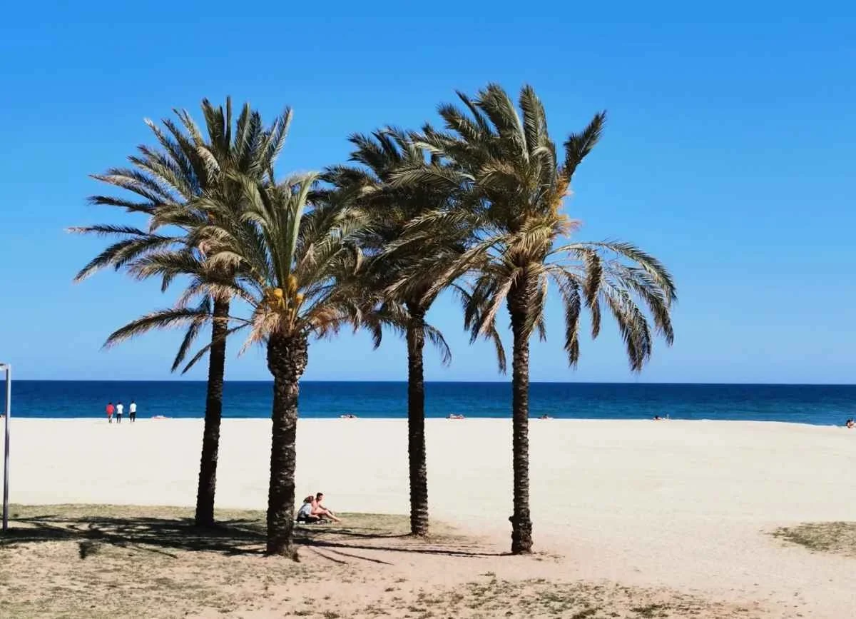 Séminaire Intensif Acupuncture et Auriculothérapie, stage intensif de pratique et vacances