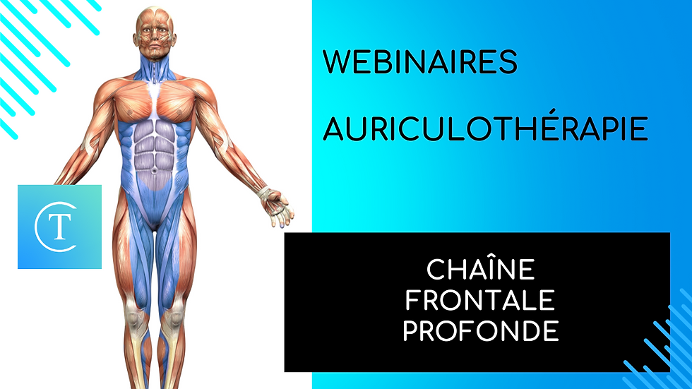 Webinaire Auriculothérapie - Chaînes Musculaires - ligne frontale profonde