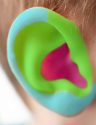 INERVATION DE L OREILLE.png