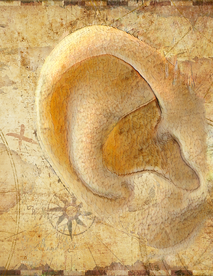 cartographie du tresor de l oreille - livre Auriculotherapie du Pole de Therapeutes.png