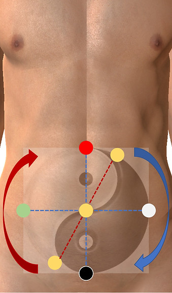 Application de la PBM Acupuncture à la Formation Acupuncture Abdominale du Pôle de Thérapeutes